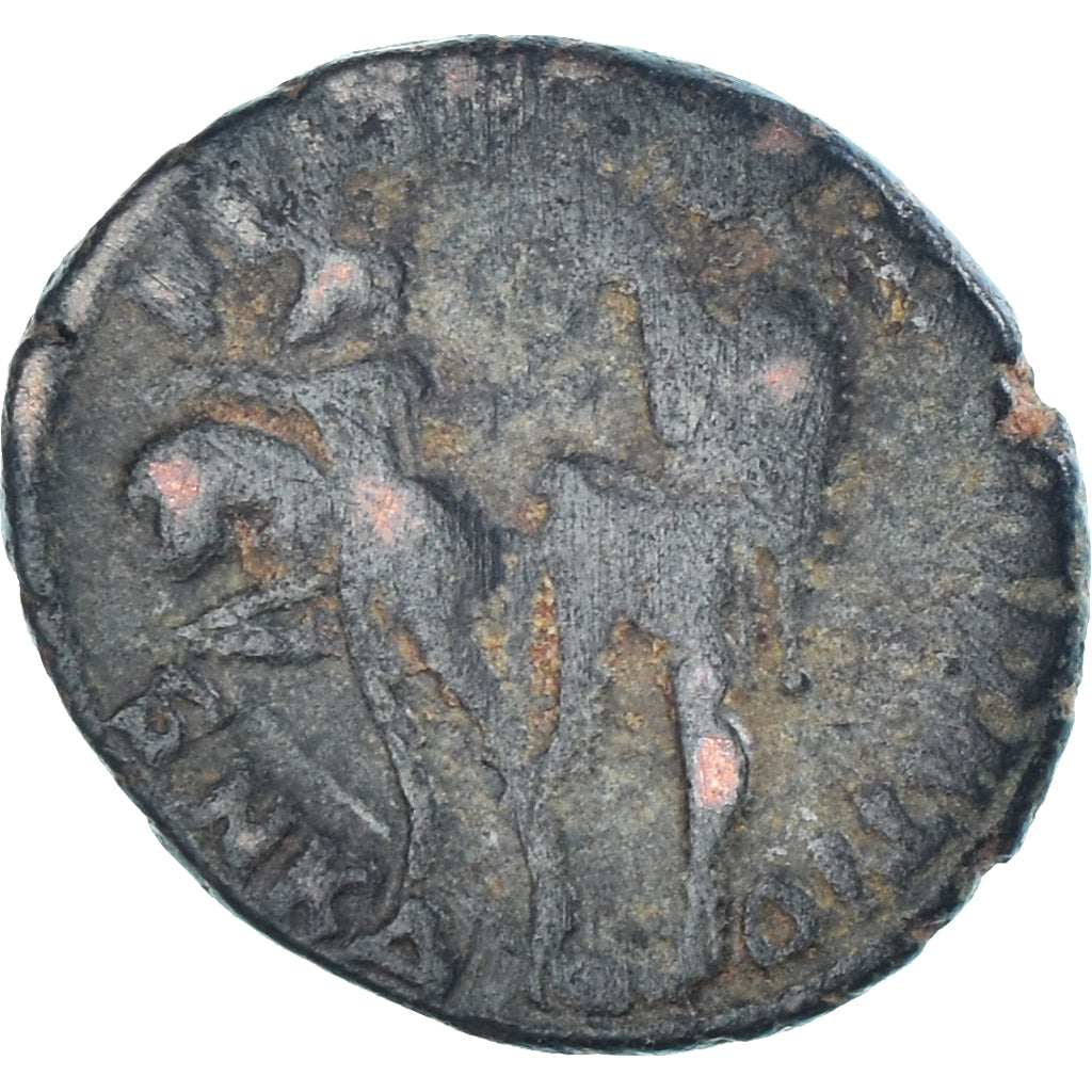 Moneta, 
  
  Konstancjusz Gallus, 
  
  Follis