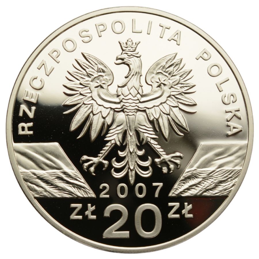 20 złotych - Zwierzęta świata - Foka szara